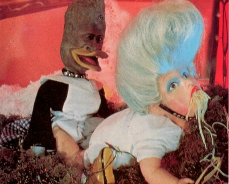  Abdullah &lsquo;X&rsquo; sul Bambinello dell&rsquo;Erba Digitaria